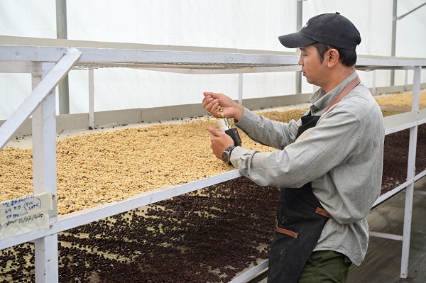 Lebih dari Kopi, Inovasi Panas Bumi PGE Sukses Bangun Ekonomi Sirkular di Kamojang