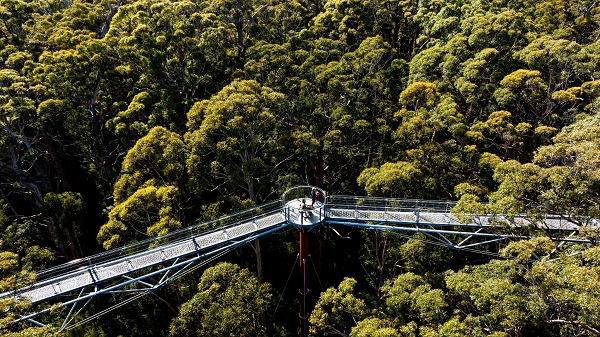 Lima Pengalaman Luar Biasa di South West Australia,dari Menyaksikan Lumba-2 hingga Berburu Truffle